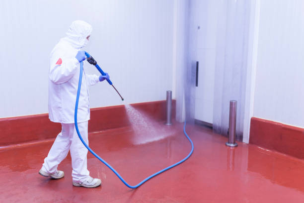 Reliable Loxley, AL  Pressure Washing Services Solutions