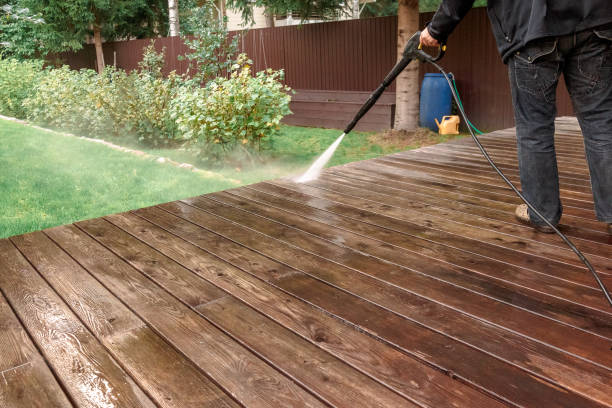 Animal Enclosure Cleaning in Loxley, AL