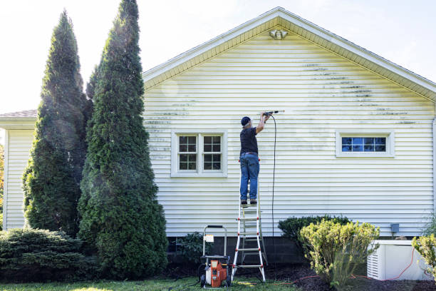 Best Driveway Pressure Washing  in Loxley, AL